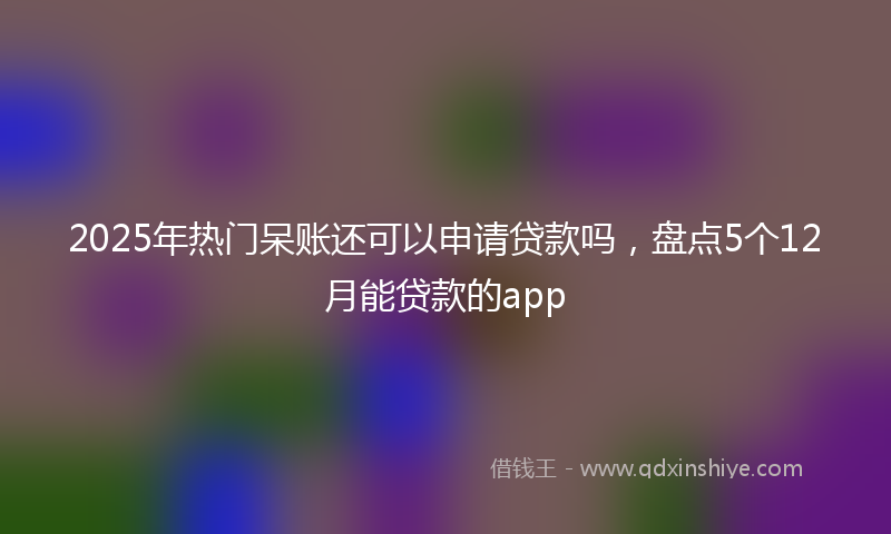 2025年热门呆账还可以申请贷款吗，盘点5个12月能贷款的app