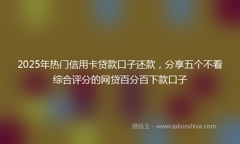 2025年热门信用卡贷款口子还款，分享五个不看综合评分的网贷百分百下款口子