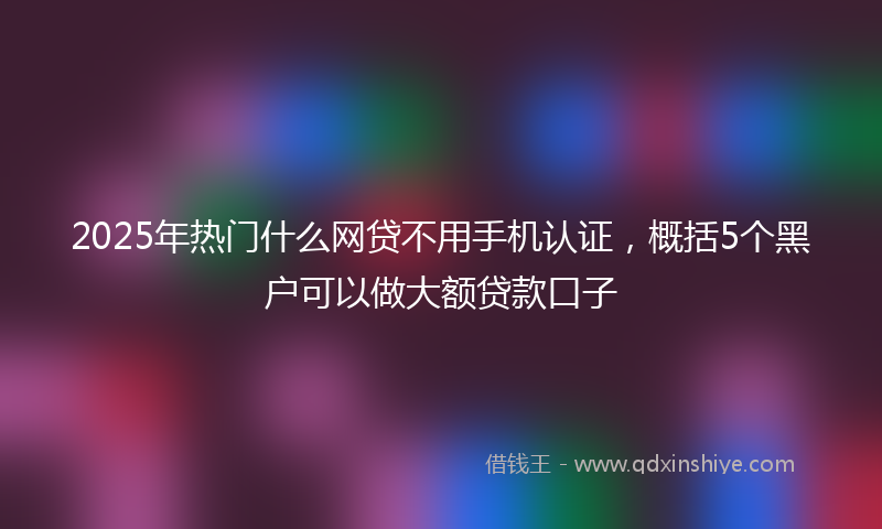 2025年热门什么网贷不用手机认证，概括5个黑户可以做大额贷款口子