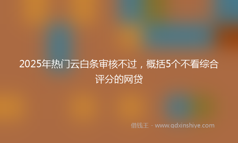 2025年热门云白条审核不过，概括5个不看综合评分的网贷