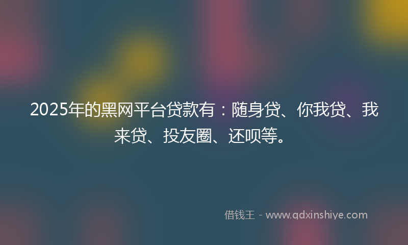 2025年的黑网平台贷款有：随身贷、你我贷、我来贷、投友圈、还呗等。