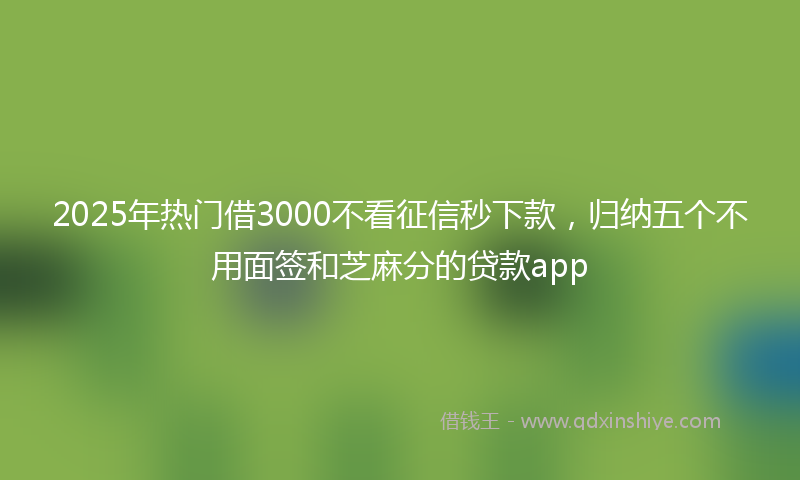 2025年热门借3000不看征信秒下款,归纳五个不用面签和芝麻分的贷款app