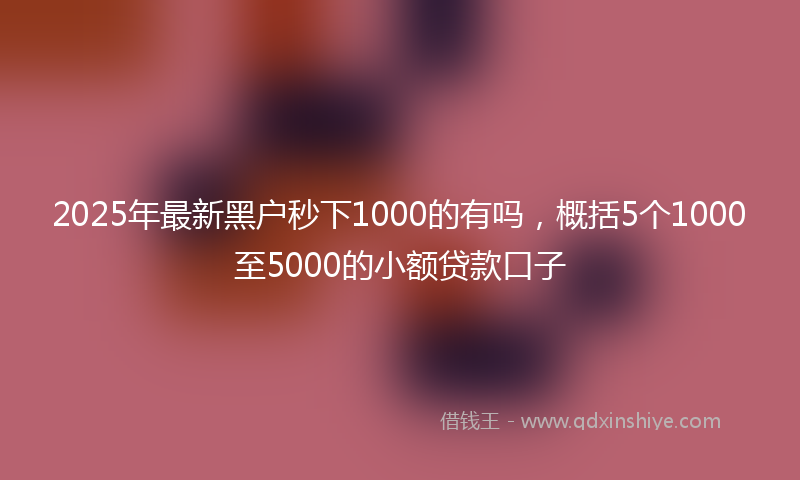 2025年最新黑户秒下1000的有吗，概括5个1000至5000的小额贷款口子