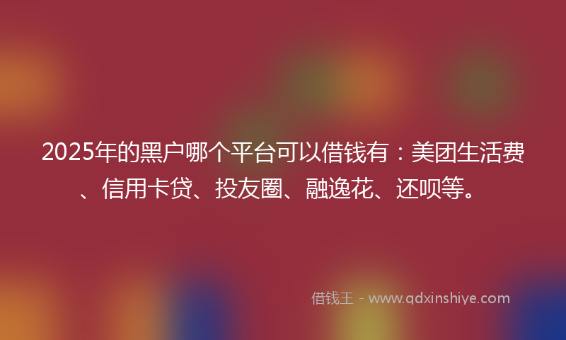 2025年的黑户哪个平台可以借钱有：美团生活费、信用卡贷、投友圈、融逸花、还呗等。