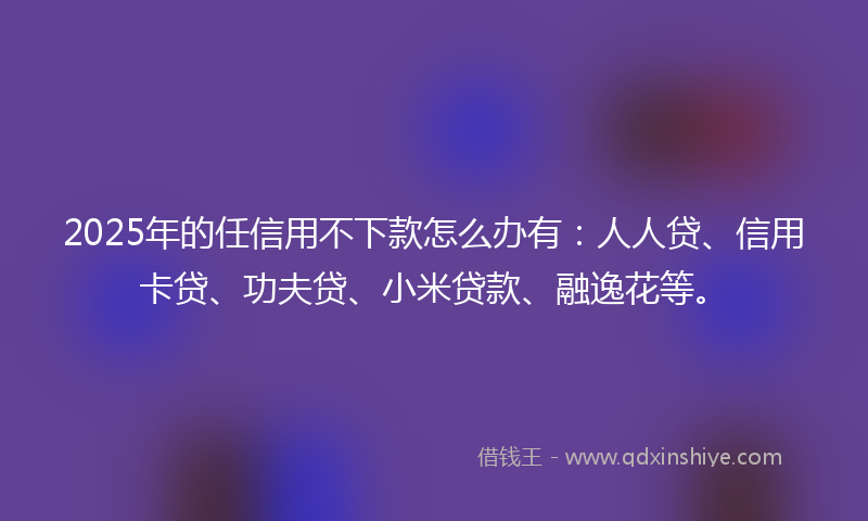 2025年的任信用不下款怎么办有：人人贷、信用卡贷、功夫贷、小米贷款、融逸花等。