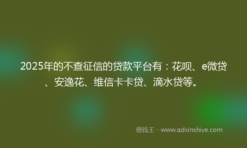 2025年的不查征信的贷款平台有：花呗、e微贷、安逸花、维信卡卡贷、滴水贷等。