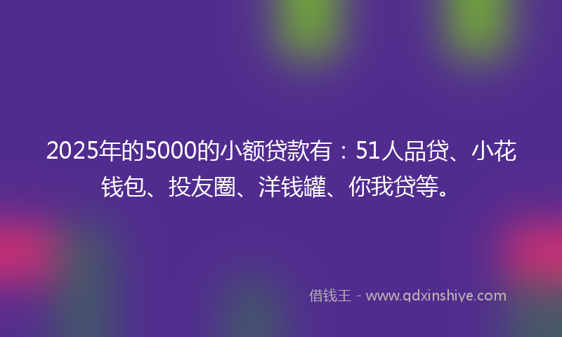 2025年的5000的小额贷款有：51人品贷、小花钱包、投友圈、洋钱罐、你我贷等。