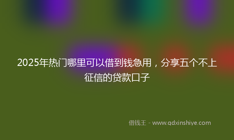 2025年热门哪里可以借到钱急用，分享五个不上征信的贷款口子