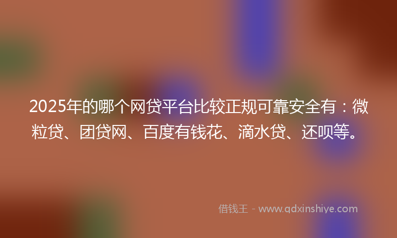 2025年的哪个网贷平台比较正规可靠安全有：微粒贷、团贷网、百度有钱花、滴水贷、还呗等。