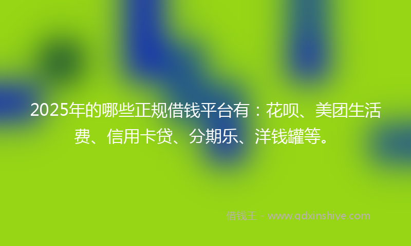 2025年的哪些正规借钱平台有：花呗、美团生活费、信用卡贷、分期乐、洋钱罐等。