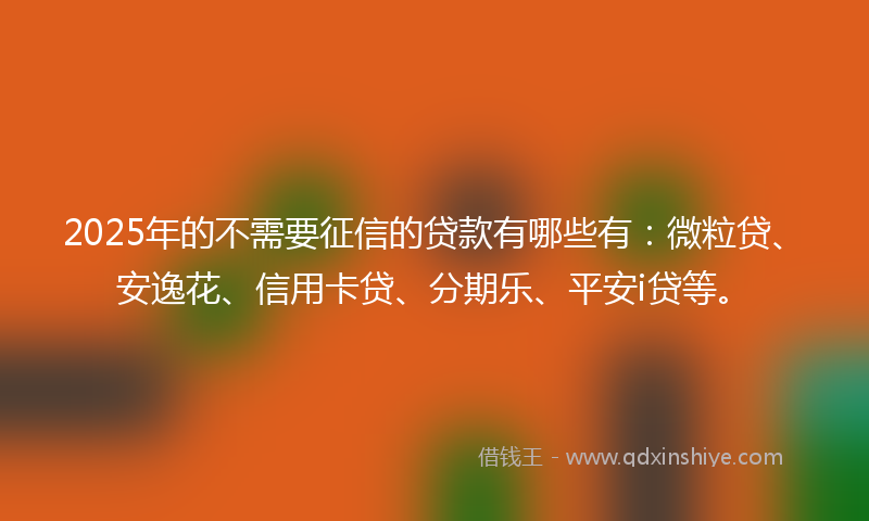 2025年的不需要征信的贷款有哪些有：微粒贷、安逸花、信用卡贷、分期乐、平安i贷等。