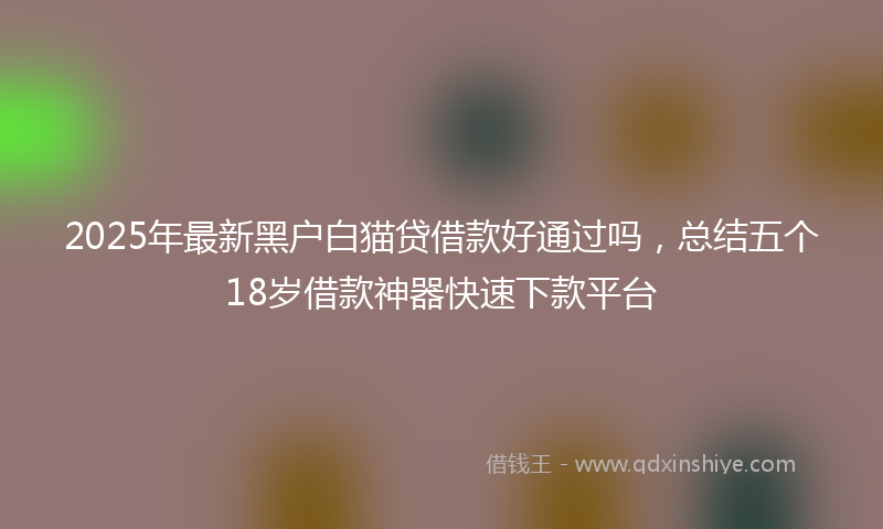 2025年最新黑户白猫贷借款好通过吗，总结五个18岁借款神器快速下款平台