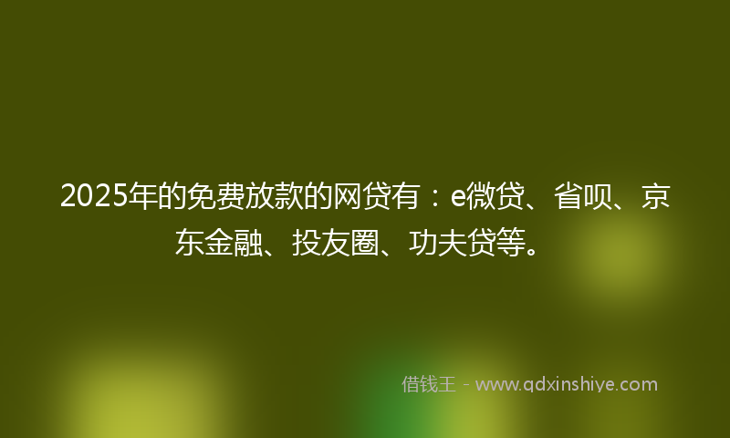 2025年的免费放款的网贷有：e微贷、省呗、京东金融、投友圈、功夫贷等。