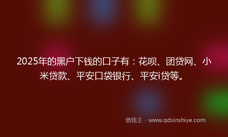2025年的黑户下钱的口子有：花呗、团贷网、小米贷款、平安口袋银行、平安i贷等。