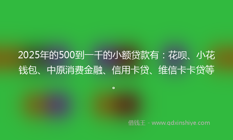 2025年的500到一千的小额贷款有：花呗、小花钱包、中原消费金融、信用卡贷、维信卡卡贷等。