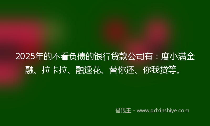 2025年的不看负债的银行贷款公司有：度小满金融、拉卡拉、融逸花、替你还、你我贷等。