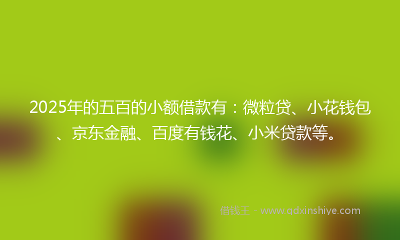 2025年的五百的小额借款有:微粒贷、小花钱包、京东金融、百度有钱花、小米贷款等。