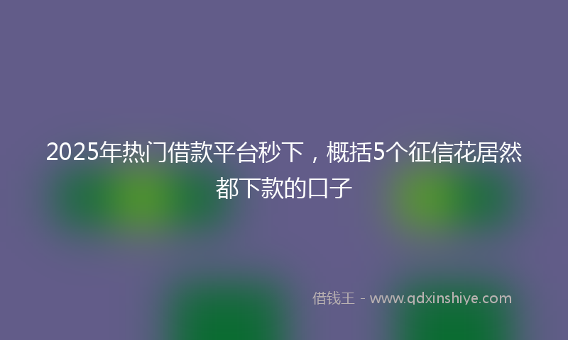 2025年热门借款平台秒下，概括5个征信花居然都下款的口子