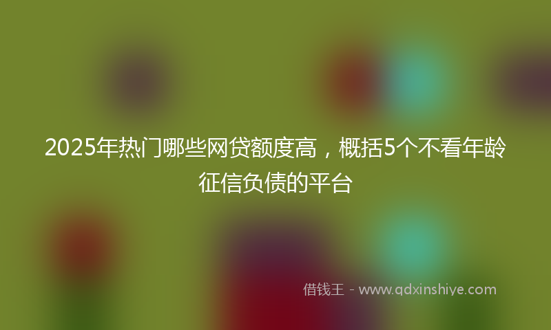 2025年热门哪些网贷额度高，概括5个不看年龄征信负债的平台