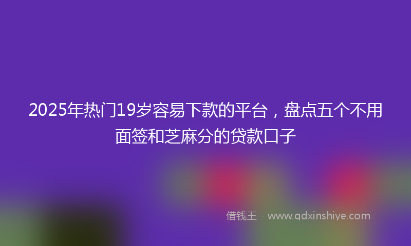 2025年热门19岁容易下款的平台，盘点五个不用面签和芝麻分的贷款口子