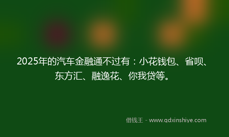 2025年的汽车金融通不过有：小花钱包、省呗、东方汇、融逸花、你我贷等。