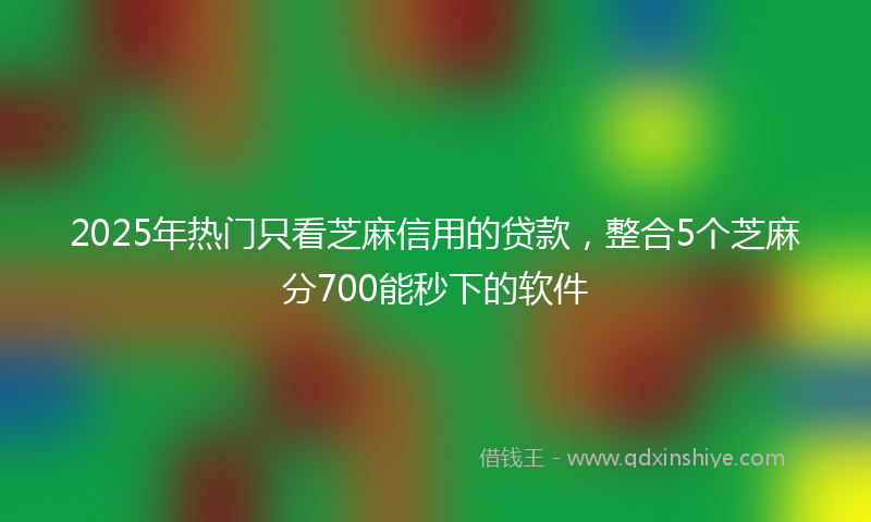 2025年热门只看芝麻信用的贷款，整合5个芝麻分700能秒下的软件