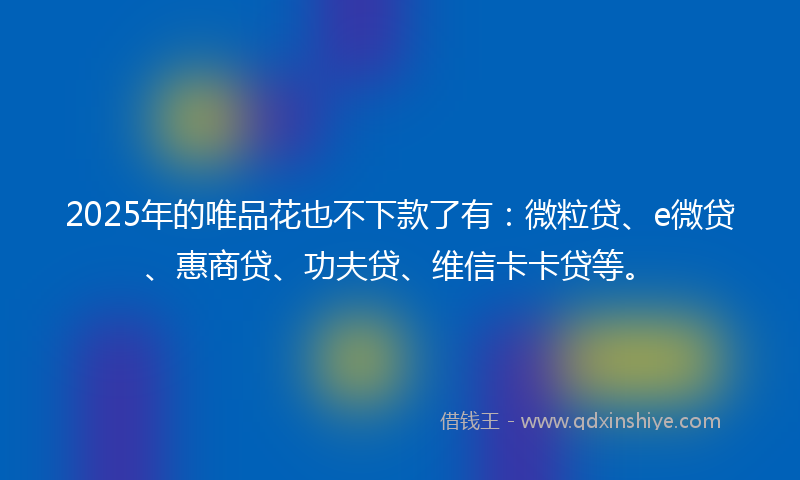 2025年的唯品花也不下款了有：微粒贷、e微贷、惠商贷、功夫贷、维信卡卡贷等。