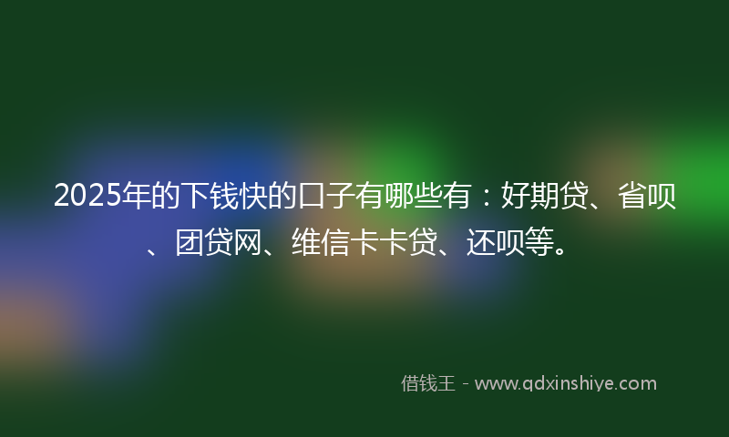 2025年的下钱快的口子有哪些有：好期贷、省呗、团贷网、维信卡卡贷、还呗等。