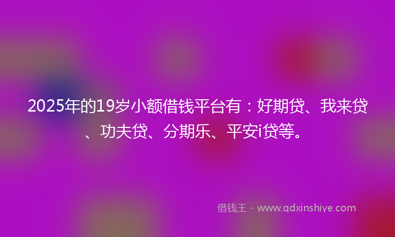 2025年的19岁小额借钱平台有：好期贷、我来贷、功夫贷、分期乐、平安i贷等。