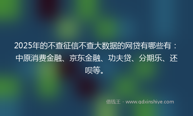 2025年的不查征信不查大数据的网贷有哪些有：中原消费金融、京东金融、功夫贷、分期乐、还呗等。
