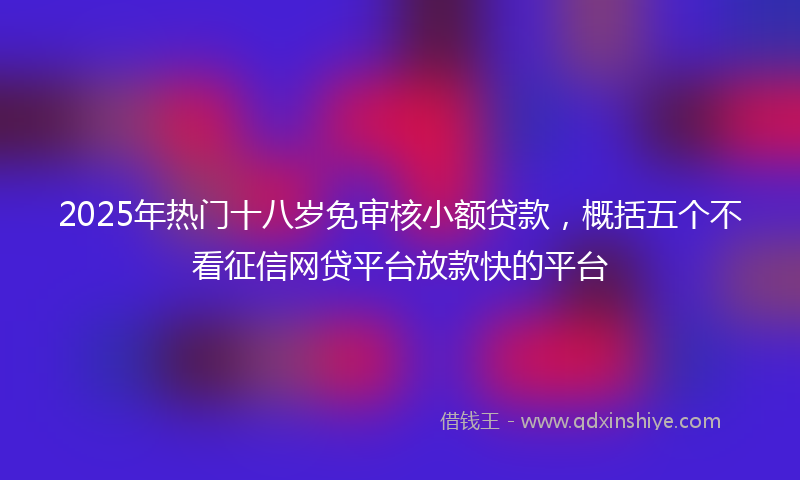 2025年热门十八岁免审核小额贷款，概括五个不看征信网贷平台放款快的平台