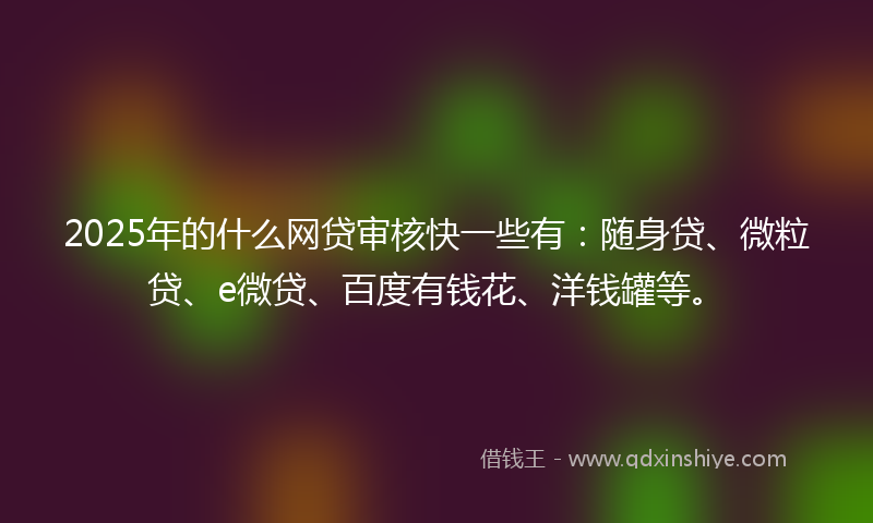 2025年的什么网贷审核快一些有：随身贷、微粒贷、e微贷、百度有钱花、洋钱罐等。