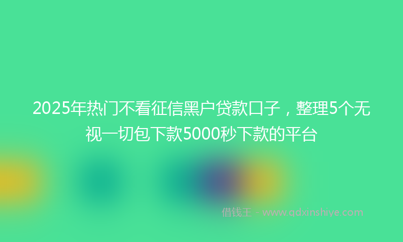 2025年热门不看征信黑户贷款口子，整理5个无视一切包下款5000秒下款的平台