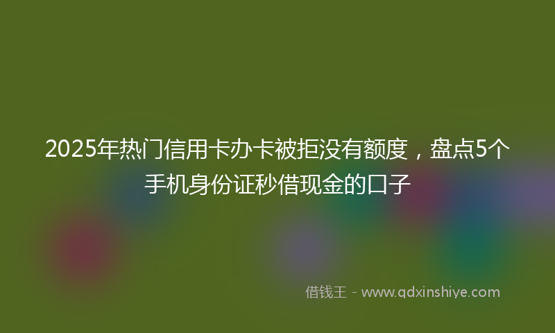 2025年热门信用卡办卡被拒没有额度，盘点5个手机身份证秒借现金的口子
