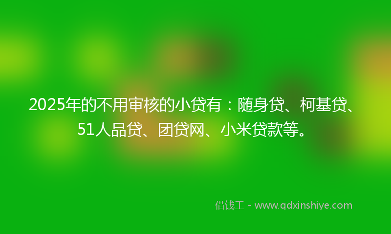2025年的不用审核的小贷有：随身贷、柯基贷、51人品贷、团贷网、小米贷款等。