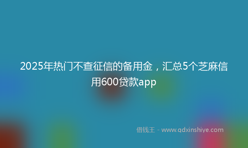 2025年热门不查征信的备用金，汇总5个芝麻信用600贷款app