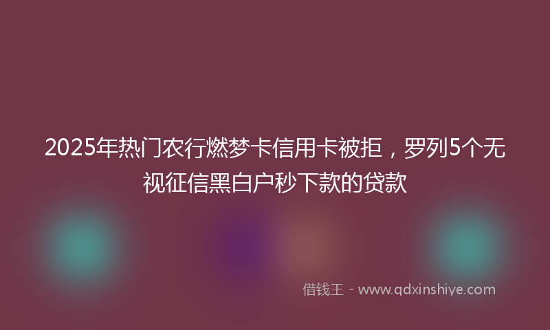 2025年热门农行燃梦卡信用卡被拒，罗列5个无视征信黑白户秒下款的贷款
