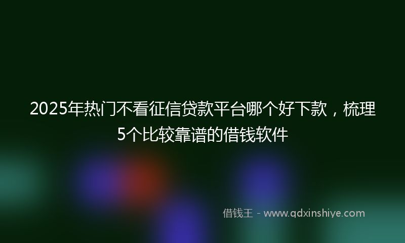 2025年热门不看征信贷款平台哪个好下款，梳理5个比较靠谱的借钱软件