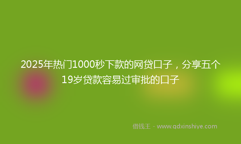 2025年热门1000秒下款的网贷口子，分享五个19岁贷款容易过审批的口子