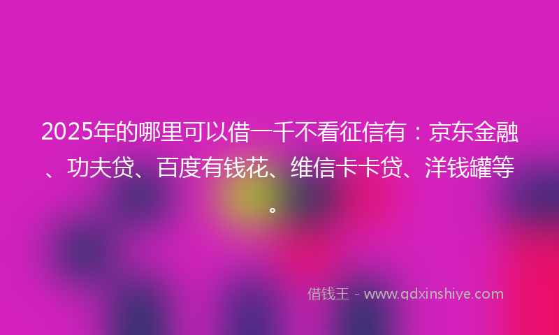 2025年的哪里可以借一千不看征信有：京东金融、功夫贷、百度有钱花、维信卡卡贷、洋钱罐等。