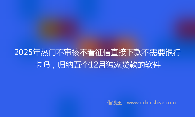 2025年热门不审核不看征信直接下款不需要银行卡吗，归纳五个12月独家贷款的软件