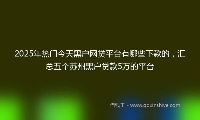 2025年热门今天黑户网贷平台有哪些下款的，汇总五个苏州黑户贷款5万的平台