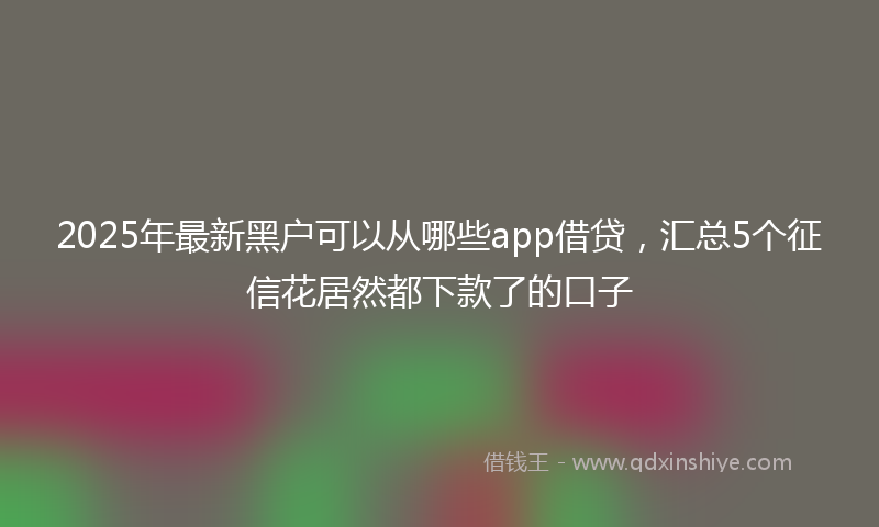2025年最新黑户可以从哪些app借贷，汇总5个征信花居然都下款了的口子