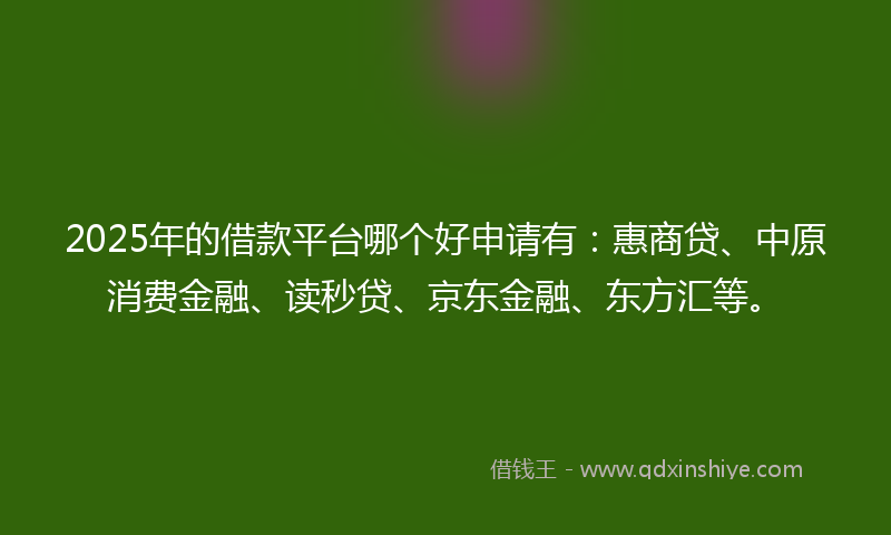 2025年的借款平台哪个好申请有：惠商贷、中原消费金融、读秒贷、京东金融、东方汇等。