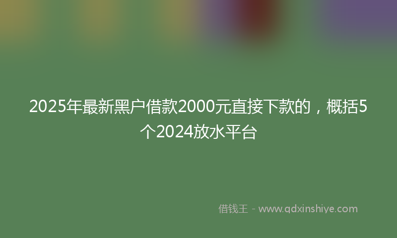 2025年最新黑户借款2000元直接下款的，概括5个2024放水平台