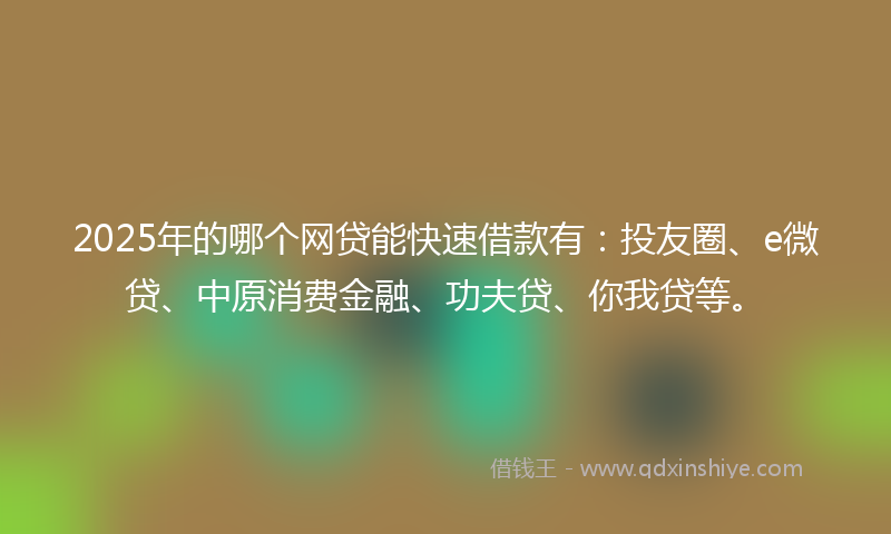 2025年的哪个网贷能快速借款有：投友圈、e微贷、中原消费金融、功夫贷、你我贷等。