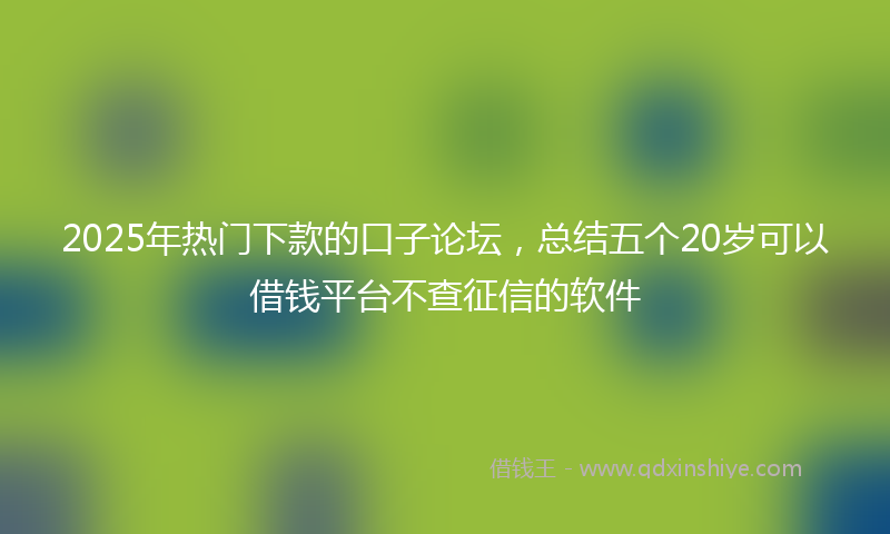 2025年热门下款的口子论坛，总结五个20岁可以借钱平台不查征信的软件