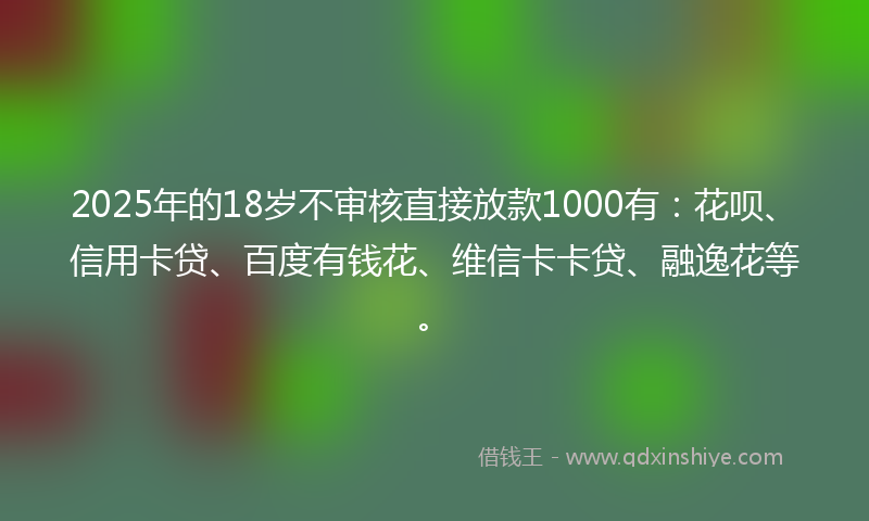 2025年的18岁不审核直接放款1000有：花呗、信用卡贷、百度有钱花、维信卡卡贷、融逸花等。