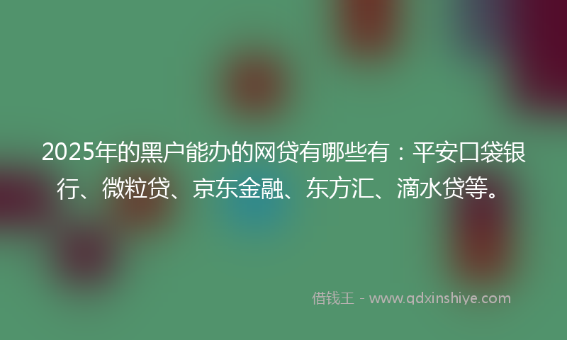 2025年的黑户能办的网贷有哪些有：平安口袋银行、微粒贷、京东金融、东方汇、滴水贷等。