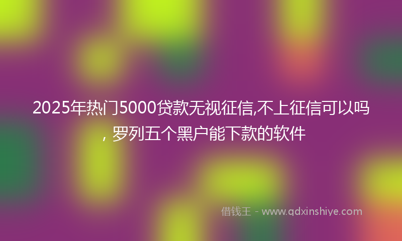 2025年热门5000贷款无视征信,不上征信可以吗，罗列五个黑户能下款的软件